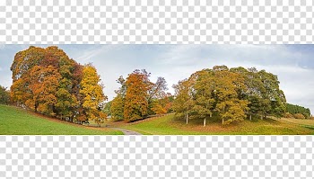 Land lot Biome Tree Real property Sky plc, Stroll In The Park transparent background PNG clipart