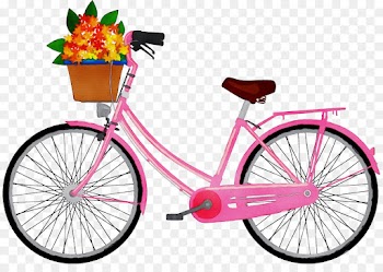 land vehicle bicycle wheel bicycle part bicycle vehicle