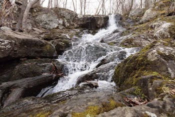 Lands Run Falls, forest stream | Free Photo - rawpixel