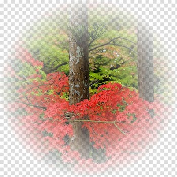 Landscape A négy évszak, Tavasz Desktop Autumn, tube fundos paisagens transparent background PNG clipart