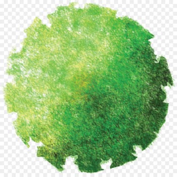 Landscape architecture Site plan Tree - tree top view 