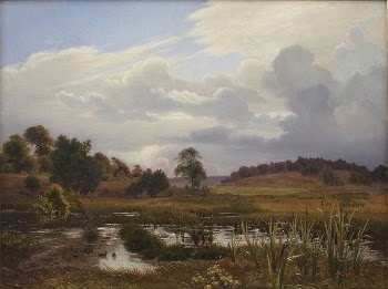 Landscape at the Nordskoven near Jægerspris | Free Photo - rawpixel
