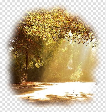 Landscape .by Leaf .de Desktop , others transparent background PNG clipart