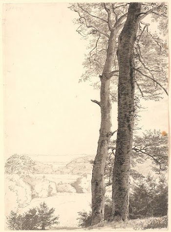 Landscape by Skarritsø with two | Free Photo - rawpixel