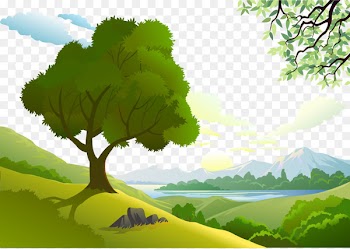 Landscape design Euclidean vector Drawing - Vector Forest 