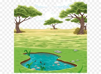 Landscape Drawing Clip art - Vector colored pond landscape background 