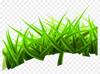 Landscape Euclidean Vector Nature Royalty-free - Clip Art