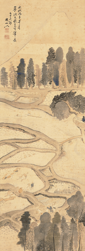 landscape featuring small partitioned rice | Free Photo - rawpixel