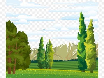 Landscape Forest Euclidean vector Tree - Valley Jungle vector material 