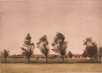 Landscape from Falster | Free Photo - rawpixel