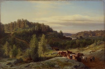 Landscape from kuru in evening | Free Photo - rawpixel