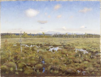 Landscape from lapland, 1892, by Thorsten | Free Photo - rawpixel