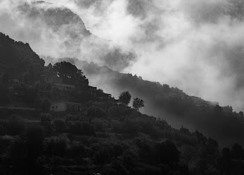 Landscape Grayscale Photography of Concrete Houses Surrounded With Trees