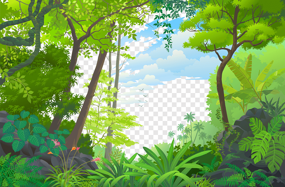 Landscape Jungle Euclidean Tropical rainforest, forest, green leafed trees, leaf, branch, computer Wallpaper png