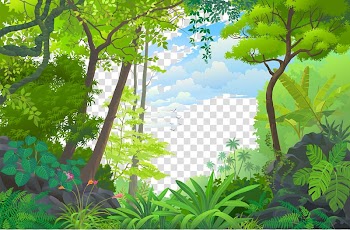 Landscape Jungle Euclidean Tropical rainforest, forest, green leafed trees transparent background PNG clipart