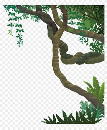 Landscape Jungle Euclidean Vector - Forest Vine Transparent