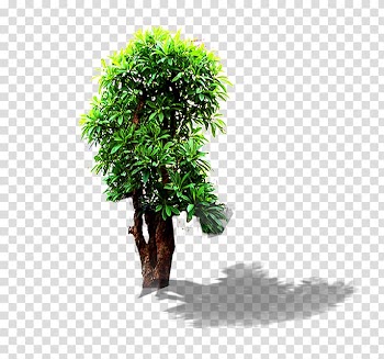 Landscape, Landscape tree transparent background PNG clipart
