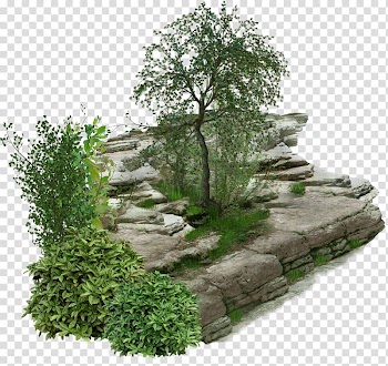 Landscape Landscaping Designer, design transparent background PNG clipart