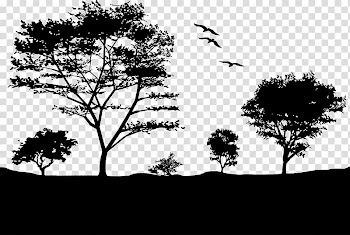 Landscape Light Sunset Nature Tree, light transparent background PNG clipart