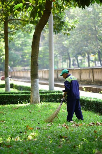 Landscape Maintenance: Gardener Sweeping Grass in Park