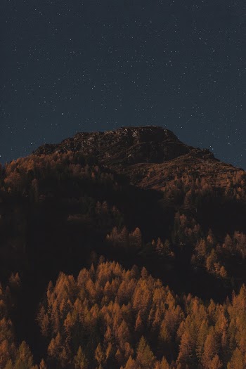 Landscape Mountain With Trees