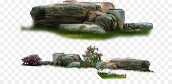 Landscape Nature Garden - Garden Park landscape stone 