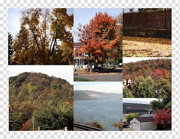 Landscape Nature Window Tree Autumn, Halloween Bash transparent background PNG clipart