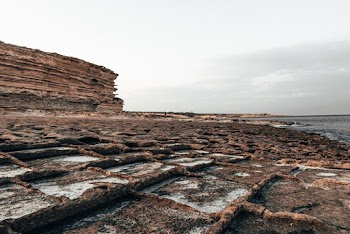 Landscape Near Body of Water