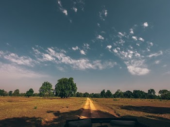 Landscape of a Country Road