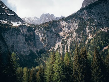 landscape of a mountain and trees