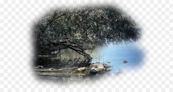 Landscape painting Image Portable Network Graphics - painting 