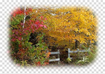 Landscape painting Portable Network Graphics Email, transparent background PNG clipart
