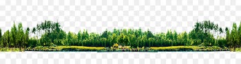Landscape Park - Park view 