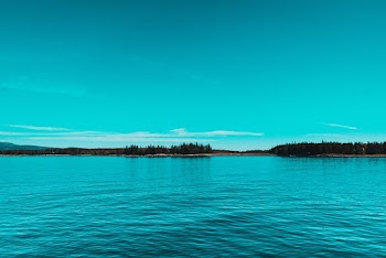 Landscape Photo of a Green Lake