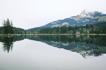 landscape photo of a lake beside trees