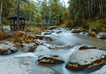 Landscape Photo of a River