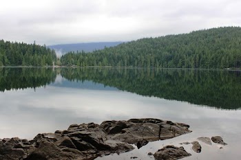 landscape photo of calm body of water surrounded by trees