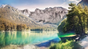 Landscape Photo of Calm Body Water Between Trees and Mountain