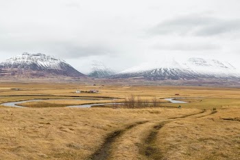 landscape photo of field of grass in front of mountain alps