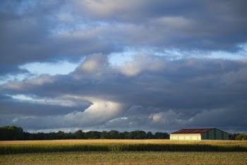 Landscape Photo of Grassland Across White Clouds