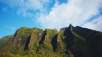 landscape photo of grassy mountain