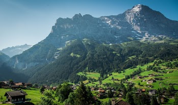 Landscape Photo of Green Land and Mountain