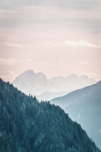 Landscape Photo of Green Trees and Mountains