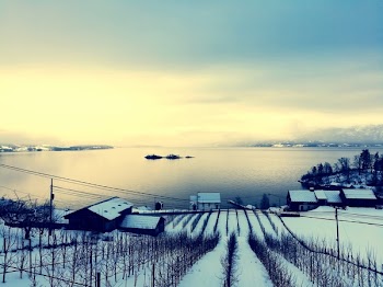Landscape Photo of Houses and Body of Water