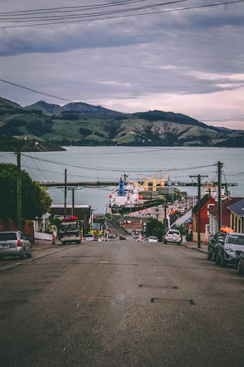 Landscape Photo of Houses Beside Road