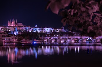 Landscape Photo of Illuminated Castle and Bridge
