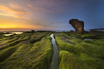 Landscape Photo of Island With Body of Water