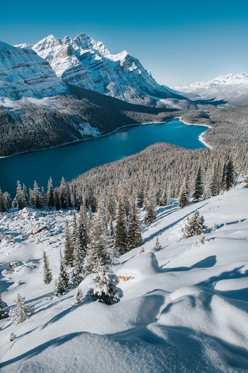 Landscape Photo of Lake Near Mountains and Trees