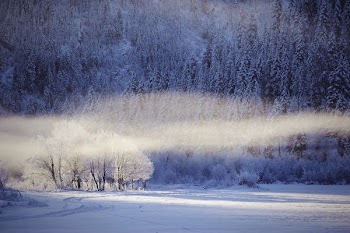 landscape photo of mountain