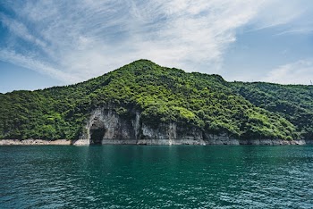 Landscape Photo of Mountain Covered With Trees